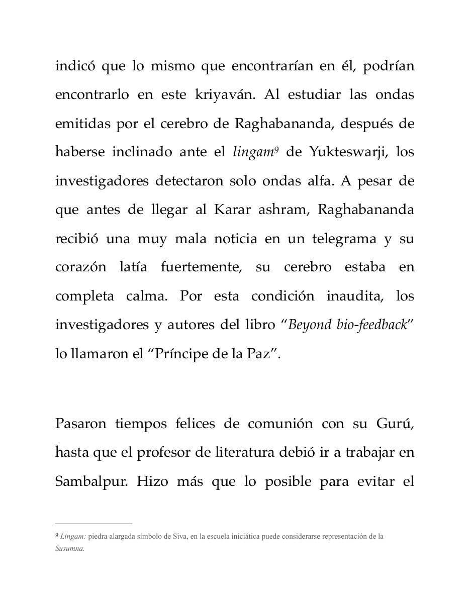 Biografía de Brahmarshi Raghabananda, página 19 de 28